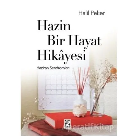 Hazin Bir Hayat Hikayesi - Halil Peker - İştirak Yayınevi