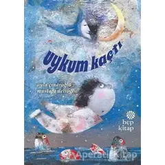 Uykum Kaçtı - Ayla Çınaroğlu - Hep Kitap