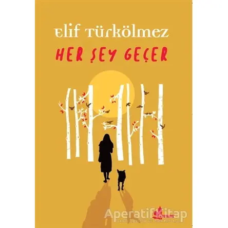 Her Şey Geçer - Elif Türkölmez - Çınar Yayınları