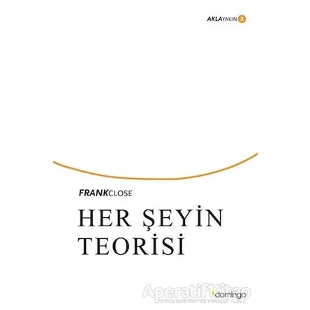 Her Şeyin Teorisi - Frank Close - Domingo Yayınevi