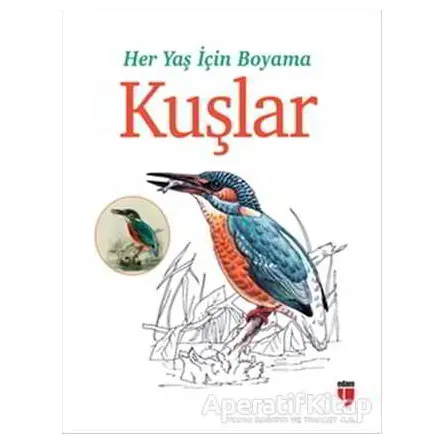 Her Yaş İçin Boyama - Kuşlar - Kolektif - EDAM