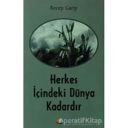 Herkes İçindeki Dünya Kadardır - Recep Garip - Karma Kitaplar