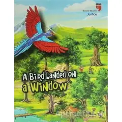 A Bird Landed On a Window - Kolektif - EDAM