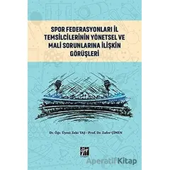 Spor Federasyonları İl Temsilcilerinin Yönetsel ve Mali Sorunlarına İlişkin Görüşleri