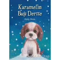 Karamelin Başı Dertte - Holly Webb - Pegasus Yayınları