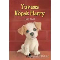 Yuvasız Köpek Harry - Holly Webb - Pegasus Çocuk Yayınları