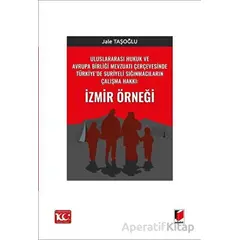 Uluslararası Hukuk ve Avrupa Birliği Mevzuatı Çerçevesinde Türkiye’de Suriyeli Sığınmacıların Çalışm