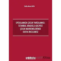 Uygulamada Çocuk Yargılaması: İstanbul Anadolu Adliyesi Çocuk Mahkemelerinde Dosya İncelemesi