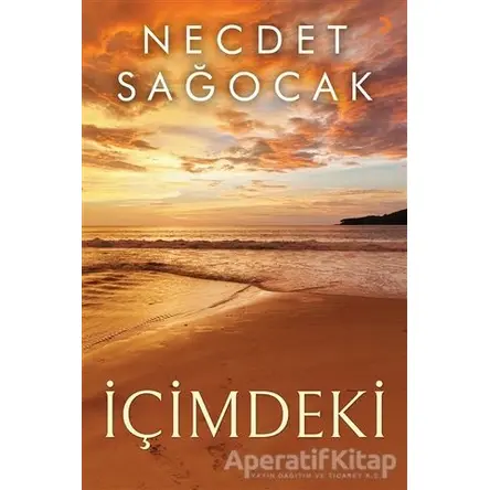 İçimdeki - Necdet Sağocak - Cinius Yayınları