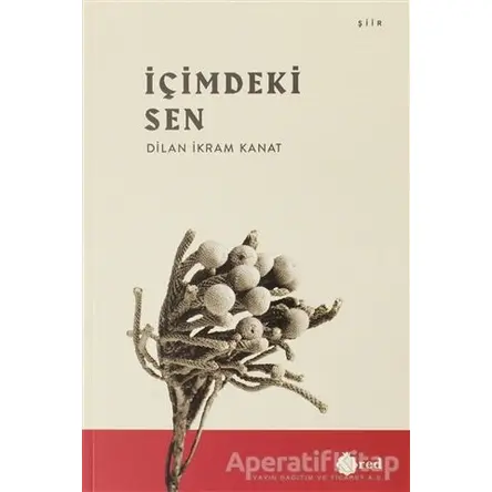 İçimdeki Sen - Dilan İkram Kanat - Red Yayınları