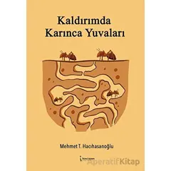 Kaldırımda Karınca Yuvaları - Mehmet Turhan Hacıhasanoğlu - İkinci Adam Yayınları