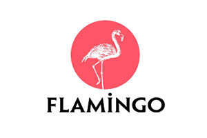 Flamingo Yayınları