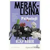 Meraklısına Psikoloji - Rolf Reber - Nova Kitap