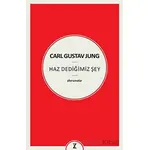 Carl Gustav Jung - Haz Dediğimiz Şey - Özlem Andaç - Zeplin Kitap