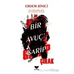 Bir Avuç Garip Çırak - Erdem Binici - Efsus Yayınları