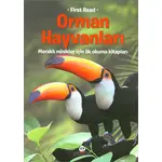 Orman Hayvanları Meraklı Minikler Beyaz Panda Yayınları