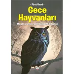 Gece Hayvanları - Meraklı Minikler İçin İlk Okuma Kitapları