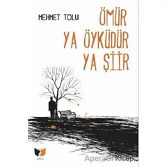 Ömür Ya Öyküdür Ya Şiir - Mehmet Tolu - Ateş Yayınları