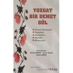 Yozgat Bir Demet Gül - İsmail Koçak - Ay Yayınları