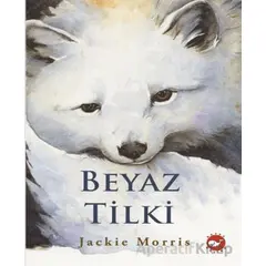Beyaz Tilki - Jackie Morris - Beyaz Balina Yayınları