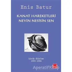 Kanat Hareketleri - Neyin Nesisin Sen - Enis Batur - Kırmızı Kedi Yayınevi