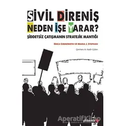 Sivil Direniş Neden İşe Yarar? - Erica Chenoweth - Phoenix Yayınevi