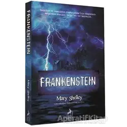 Frankenstein - Mary Shelley - Ren Kitap
