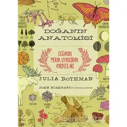Doğanın Anatomisi - Julia Rothman - ODTÜ Geliştirme Vakfı Yayıncılık
