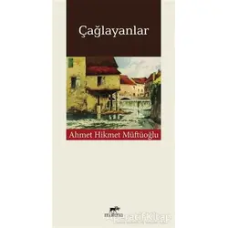 Çağlayanlar - Ahmet Müftü Hikmetoğlu - Mutena Yayınları