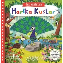 Harika Kuşlar - İlk Keşifler - Kolektif - İş Bankası Kültür Yayınları