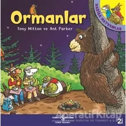 Ormanlar - Harika Hayvanlar - Ant Parker - İş Bankası Kültür Yayınları