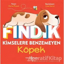 Fındık Kimselere Benzemeyen Köpek - Claire Mowat - İş Bankası Kültür Yayınları