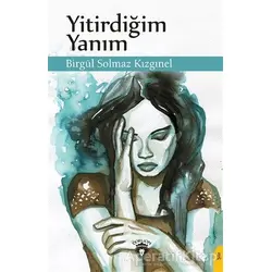 Yitirdiğim Yanım - Birgül Solmaz Kızgınel - Dorlion Yayınları