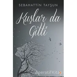 Kuşlar da Gitti - Sebahattin Tayşun - Cinius Yayınları