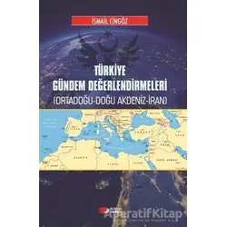 Türkiye Gündem Değerlendirmeleri - İsmail Cingöz - Berikan Yayınevi