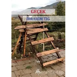 Geçek - İbrahim Tığ - Artshop Yayıncılık