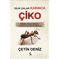 Islık Çalan Karınca Çiko - Çetin Deniz - Kamer Yayınları