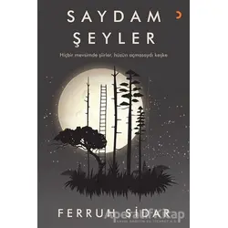 Saydam Şeyler - Ferruh Sidar - Cinius Yayınları