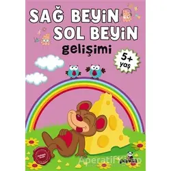 Sağ Beyin - Sol Beyin Gelişimi +5 Yaş - Kolektif - Beyaz Panda Yayınları