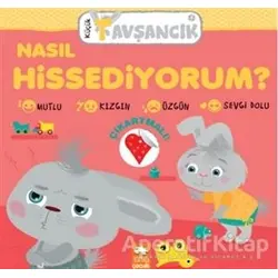 Küçük Tavşancık - Nasıl Hissediyorum? - Rasa Dmuchovskiene - Eksik Parça Yayınları