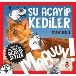 Daha da Küçükler İçin Şu Acayip Kediler - Daha da Küçükler İçin Acayip Şeyler 1