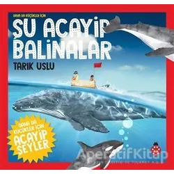 Daha da Küçükler İçin Şu Acayip Balinalar - Daha da Küçükler İçin Acayip Şeyler 4