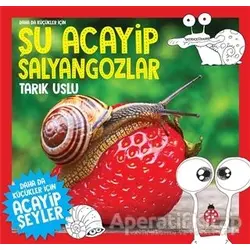 Daha da Küçükler İçin Şu Acayip Salyangozlar - Tarık Uslu - Uğurböceği Yayınları