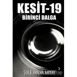 Kesit-19 - Şule Hülya Aryay - Cinius Yayınları