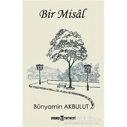 Bir Misal - Bünyamin Akbulut - Uyanış Yayınevi