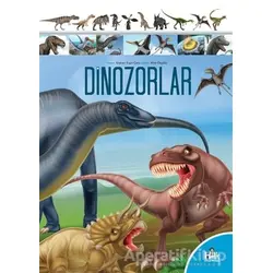 Dinozorlar - Ecehan Engin Çetin - Halk Kitabevi