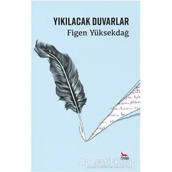 Yıkılacak Duvarlar - Figen Yüksekdağ - Ceylan Yayınları