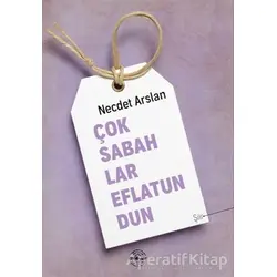 Çok Sabahlar Eflatundun - Necdet Arslan - Mühür Kitaplığı