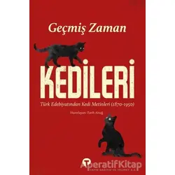 Geçmiş Zaman Kedileri - Fatih Altuğ - Turkuvaz Kitap