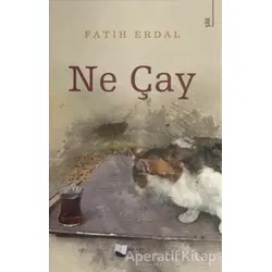 Ne Çay - Fatih Erdal - Karina Yayınevi